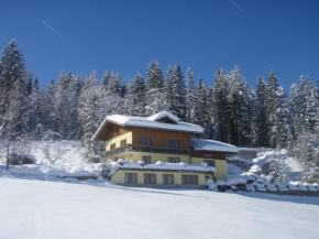 Отель Austrian Alps - Haus Kienreich  Альтенмаркт